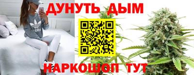 дурь Будённовск