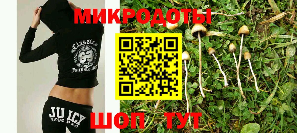 Псилоцибиновые грибы MAGIC MUSHROOMS  Псилоцибиновые грибы Magic Shrooms  купить наркотики цена  Торжок  Вход с VPN 